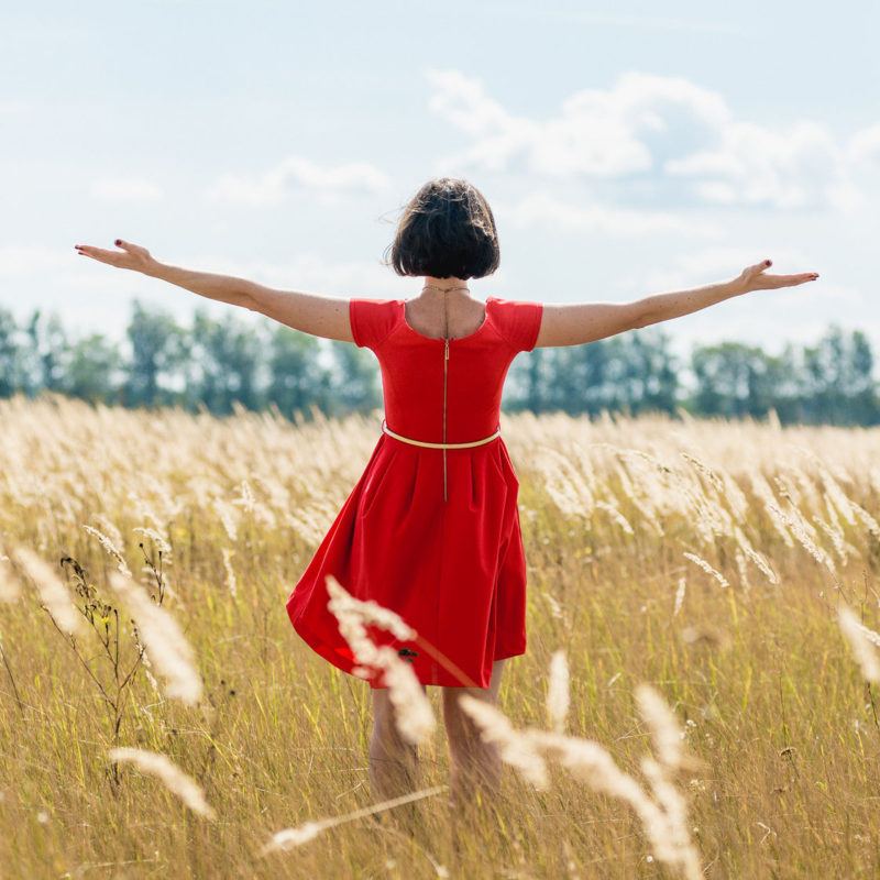 64386527 - girl in red dress walking on the field. back view