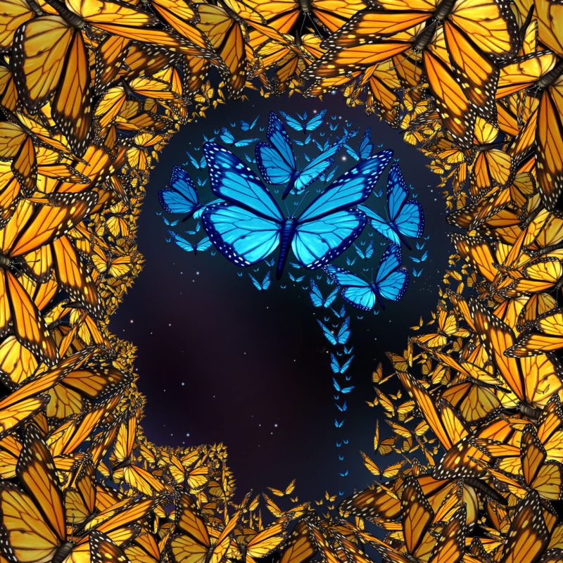 33163453 - inspiration concept and thinking potential metaphor as a group of butterflies in the shape of a human face and brain.