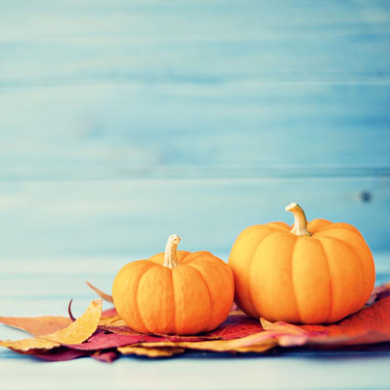 45336629 - pumpkins and autumn leafs over turquoise wood