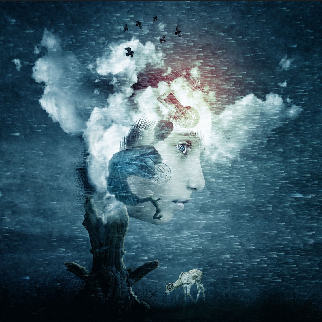 Image result for dreams
