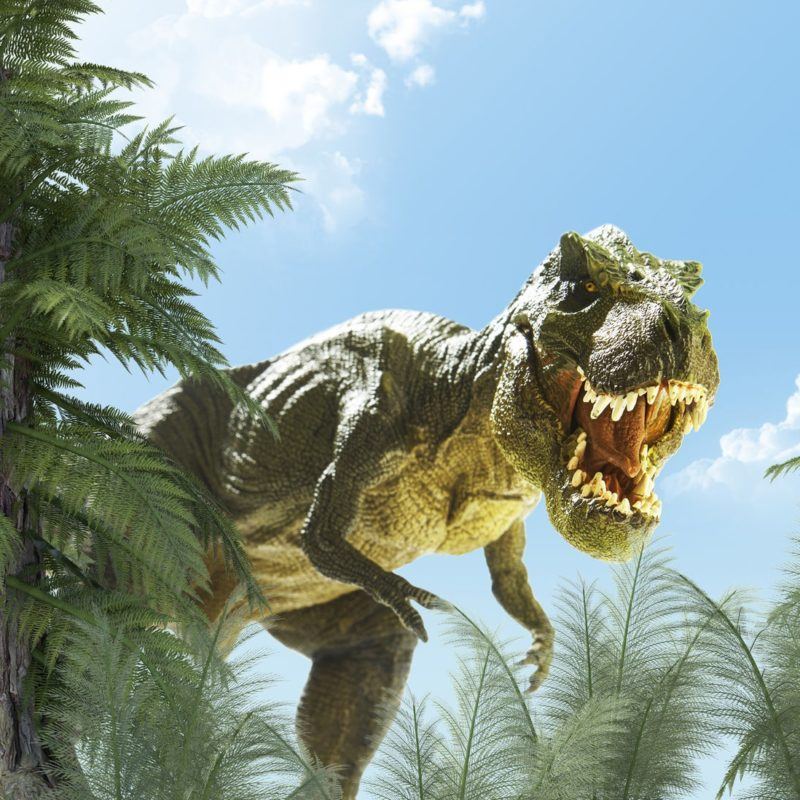 50296620 - dinosaur in the jungle background. 3d render