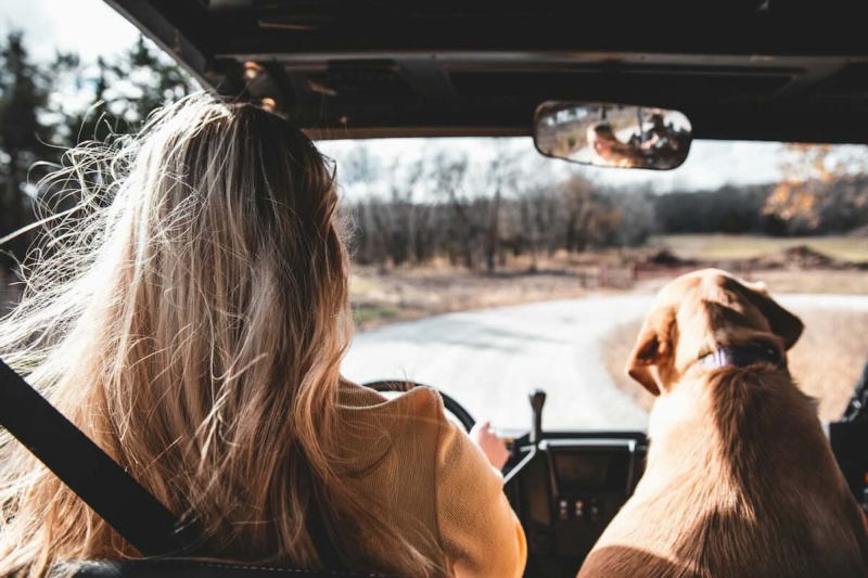 Woman embracing change and going on a road trip with her dog
