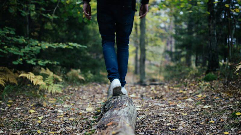 Awe walk white sneakers on tree trunk