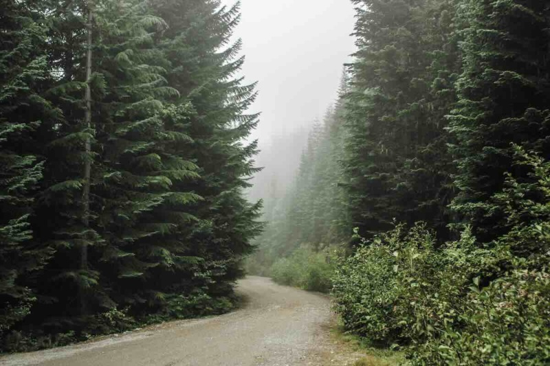 radical self acceptance