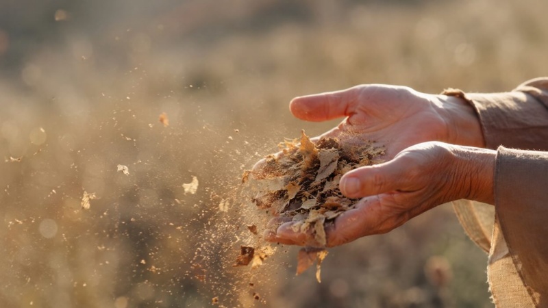 Hands opening to release scattered leaves, symbolizing letting go of low vibrational activities that drain your energy